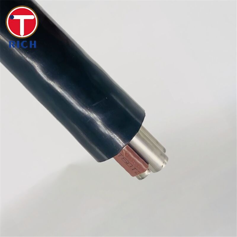 जहाज निर्माण के लिए प्लास्टिक कोटिंग के साथ बहु-कोर स्टेनलेस स्टील सीमलेस ट्यूब 304L/316L/डुप्लेक्स 2205 ग्रेड और कोल्ड ड्रॉ/हॉट रोल्ड तकनीक में